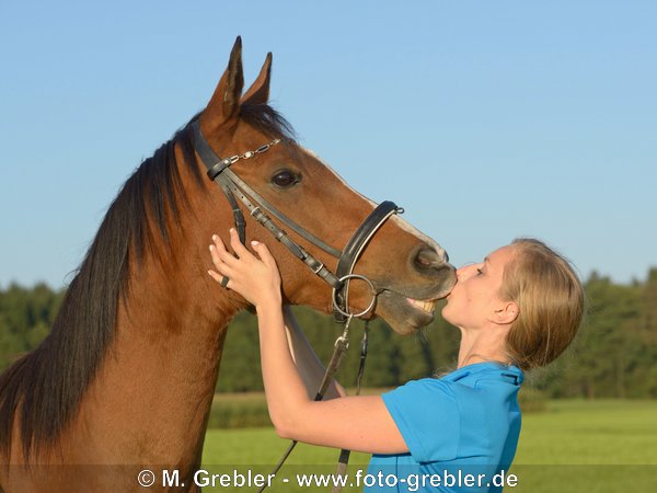 Tierliebe, Frau gibt ihrem Araber Pferd einen Kuss 