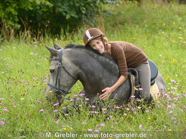 Junge Reiterin auf einem liegenden Connemara Pony 