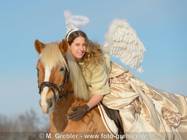 Reiterin als Engel auf Haflinger im Winter 