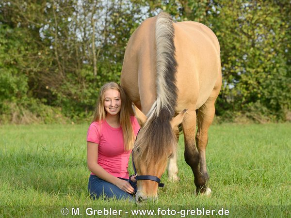 17-jährige mit Fjordpferd-Mix-Stute