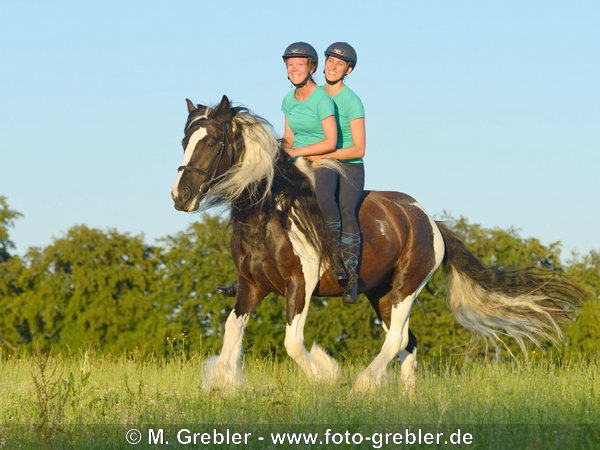 Zwei Freundinnen galoppieren zusammen auf einem Tinker 