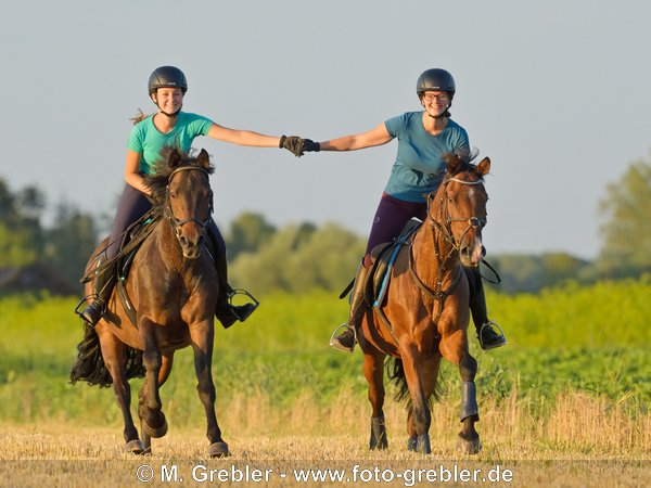 Zwei Reiterinnen auf Reitponys galoppieren Hand in Hand über ein Stoppelfeld 