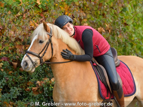 Reiterin auf Haflinger im Herbst, schwarze Kunstleder Reitleggings 