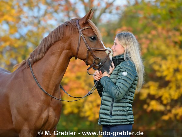 Frau mit Deutschem Reitpony im herbstlichen Abendlicht 