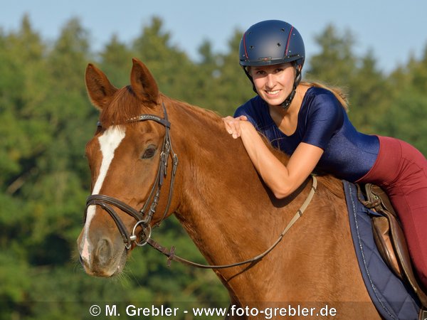 Reiterin auf Bayerischem Warmblut 