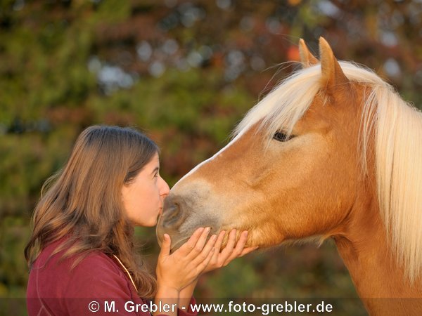 Junge Frau mit Haflinger im Herbst bei Morgenlicht