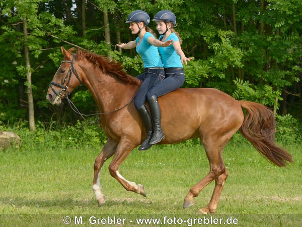 Zwei jugendliche Reiterinnen galoppieren freihändig auf einem Irish Sport horse 