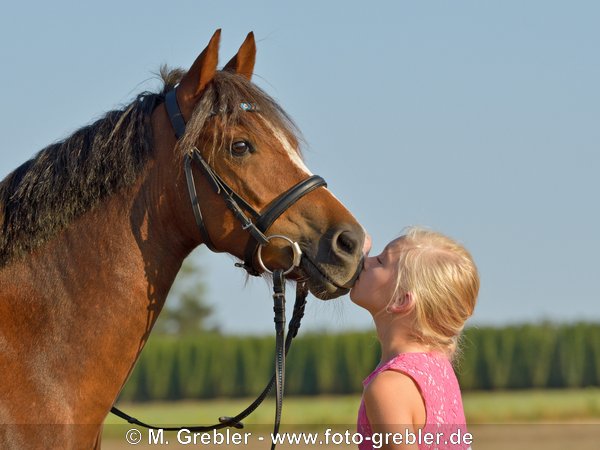 Mädchen mit Welsh-B Pony 