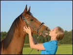 Tierliebe, Frau gibt ihrem Araber Pferd einen Kuss 