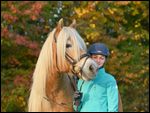 Reiterin mit Haflinger im Herbst 