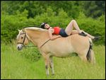 Junge Reiterin mit Fjordpferd (Norweger) - SpaÃŸ und Vertrauen 