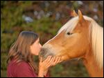 Junge Frau mit Haflinger im Herbst bei Morgenlicht