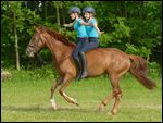 Zwei jugendliche Reiterinnen galoppieren freihÃ¤ndig auf einem Irish Sport horse 