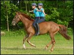 Zwei jugendliche Reiterinnen galoppieren freihändig auf einem Irish Sport horse 