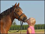 Mädchen mit Welsh-B Pony 