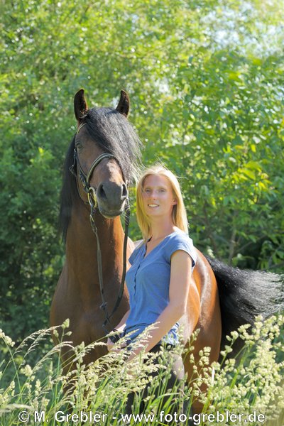 Junge Frau mit Connemara Pony Hengst 