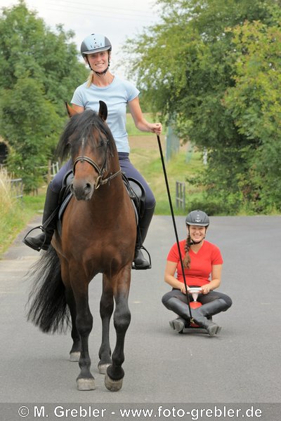 Spass mit Connemara Pony