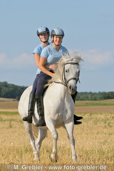 Zwei Freundinnen reiten zusammen auf einem Connemara Pony 