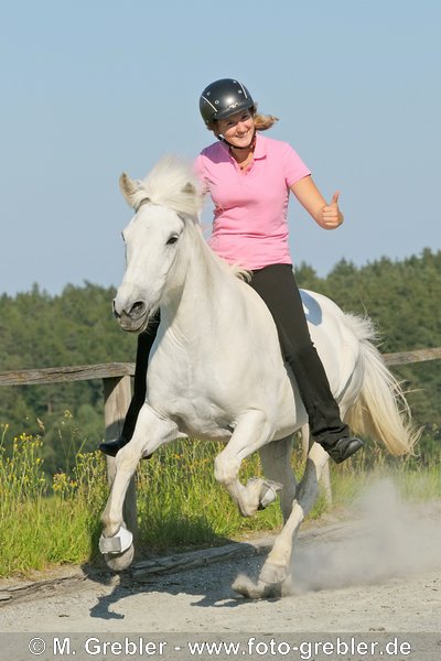 Junge Reiterin auf Isländer im Galopp, ohne Sattel und ohne Zaumzeug 