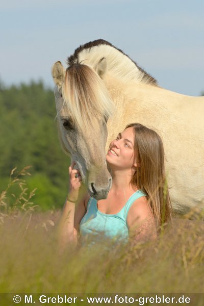 Junge Frau mit Fjordpferd Jährling 
