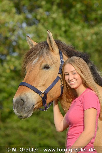 17-jährige mit Fjordpferd-Mix-Stute (Norweger) 