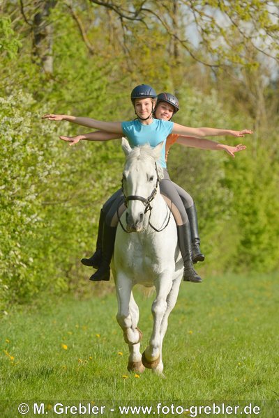 Zwei junge Reiterinnen galoppieren zusammen freihändig auf einem Bayerischen Warmblut 