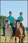 Zwei Freundinnen reiten Hand in Hand (Fjordpferd und Tinker) 