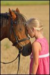 Mädchen mit Welsh-B Pony 