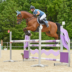 Reitsport Springen