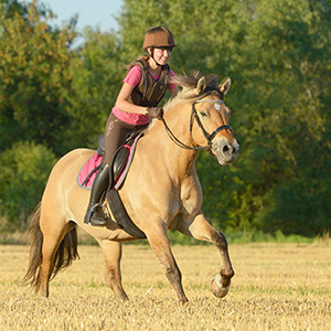 Reiten im Gelände - Ausreiten