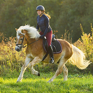 Reiten im Gelände - Ausreiten