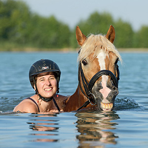 Pferde im Wasser - Reiten - Schwimmen