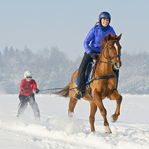 Reiten im Winter - Skijoering - Schlitten