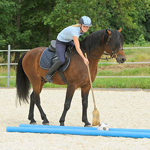 Reiten Gelassenheit GHP Zirzensik  Reiterspiele