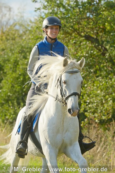 Reiterin auf Connemara Pony Hengst