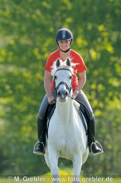 Reiterin auf einem Deutschen Reitpony im Galopp 