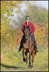 Reiterin auf Deutschem  Reitpony galoppiert im Herbst 
