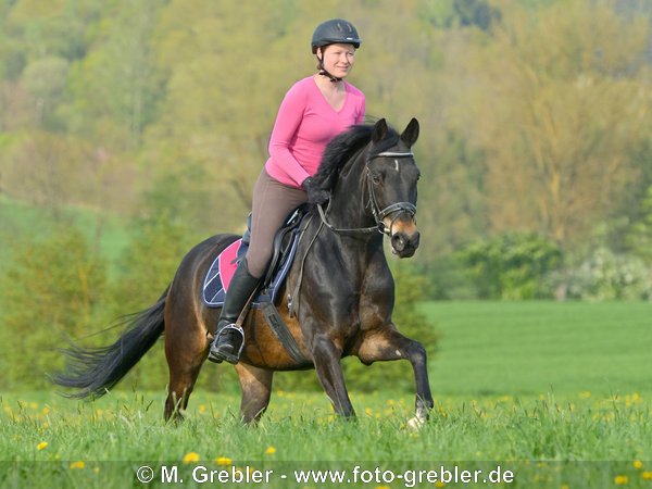 Junge Reiterin auf Deutschem Reitpony galoppiert über eine Wiese 