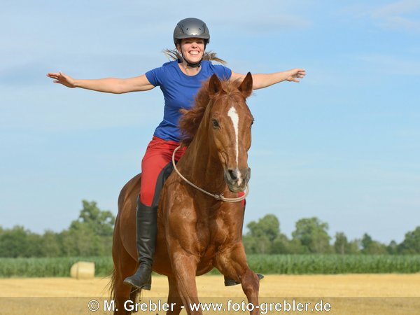 Reiterin galoppiert freihändig ohne Sattel auf 19 jährigem Trakehner im Stoppelfeld 