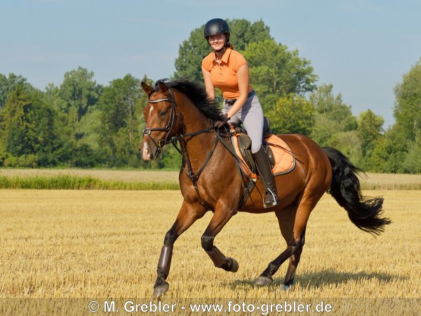 Reiterin auf Pony galoppiert in einem Stoppelfeld 