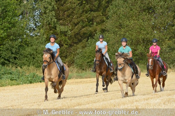 Vier Reiterinnen auf verschiedenen Pferden galoppieren über ein Stoppefeld 