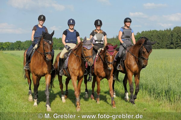 Sicherheit beim Reiten: Reiterinnen mit Reithelm und Sicherheitsweste beim Ausritt  