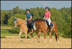 Reiterinnen auf Connemara Pony und Haflinger reiten Schritt in einem Stoppelfeld 