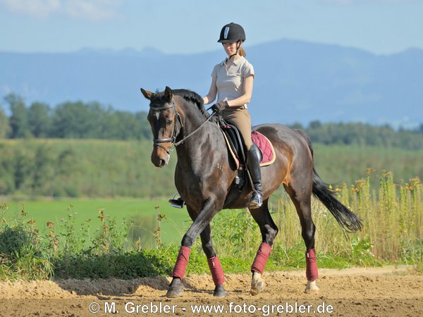 Dressur-Reiterin auf 23-jähriger Ostdeutscher Warmblut-Stute im Trab 