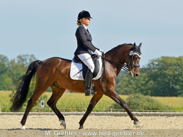 Reiterin auf Deutschem Reitpony, M-Dressrr auf Kandare, Starker Trab 