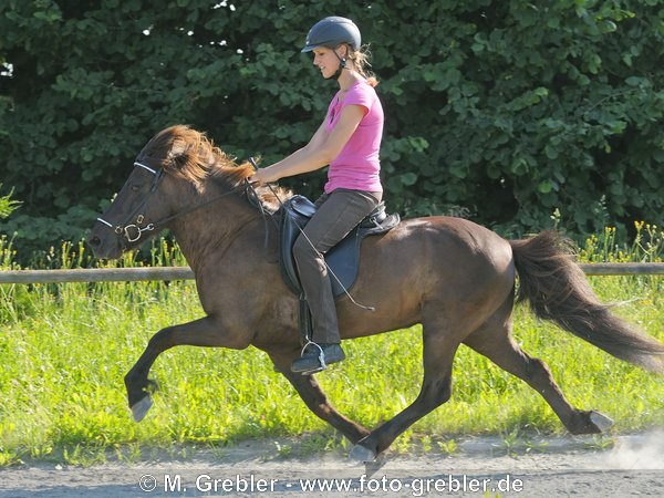 Junge Frau auf Isländer im Rennpass 