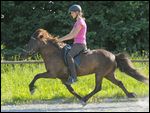 Junge Frau auf Isländer im Rennpass 