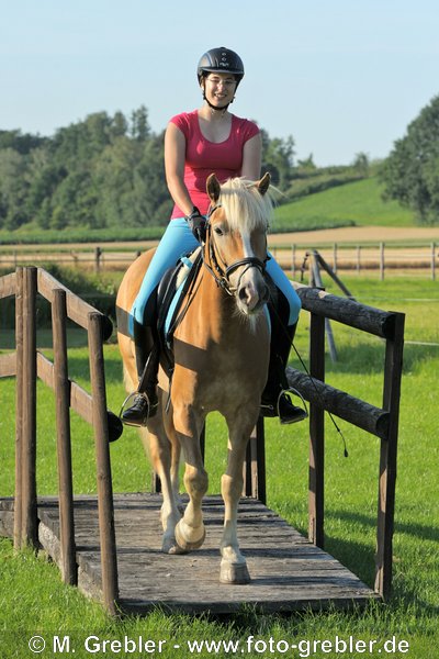 Reiterin auf Haflinger reitet über eine Brücke