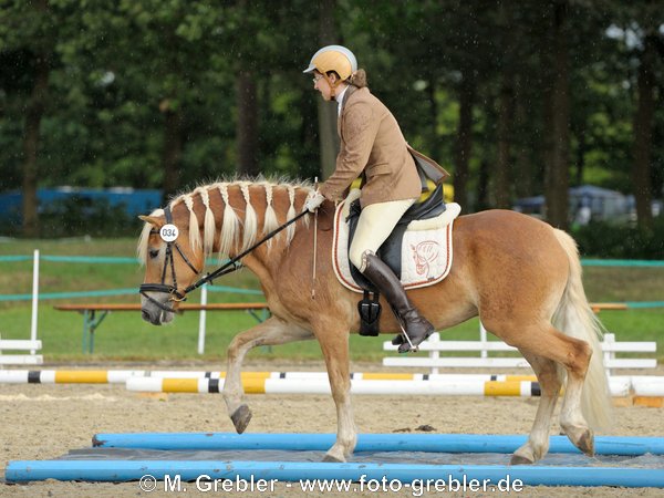 Bundeschampionat des Freizeitpferdes 2012 in Verden: Teilprüfung Gehorsamkeitsprüfung, Reiten über eine Plane 