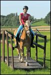 Reiterin auf Haflinger reitet über eine Brücke